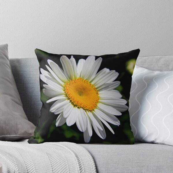 Item preview, a daisy a day.. designed and sold by FotoBloke.