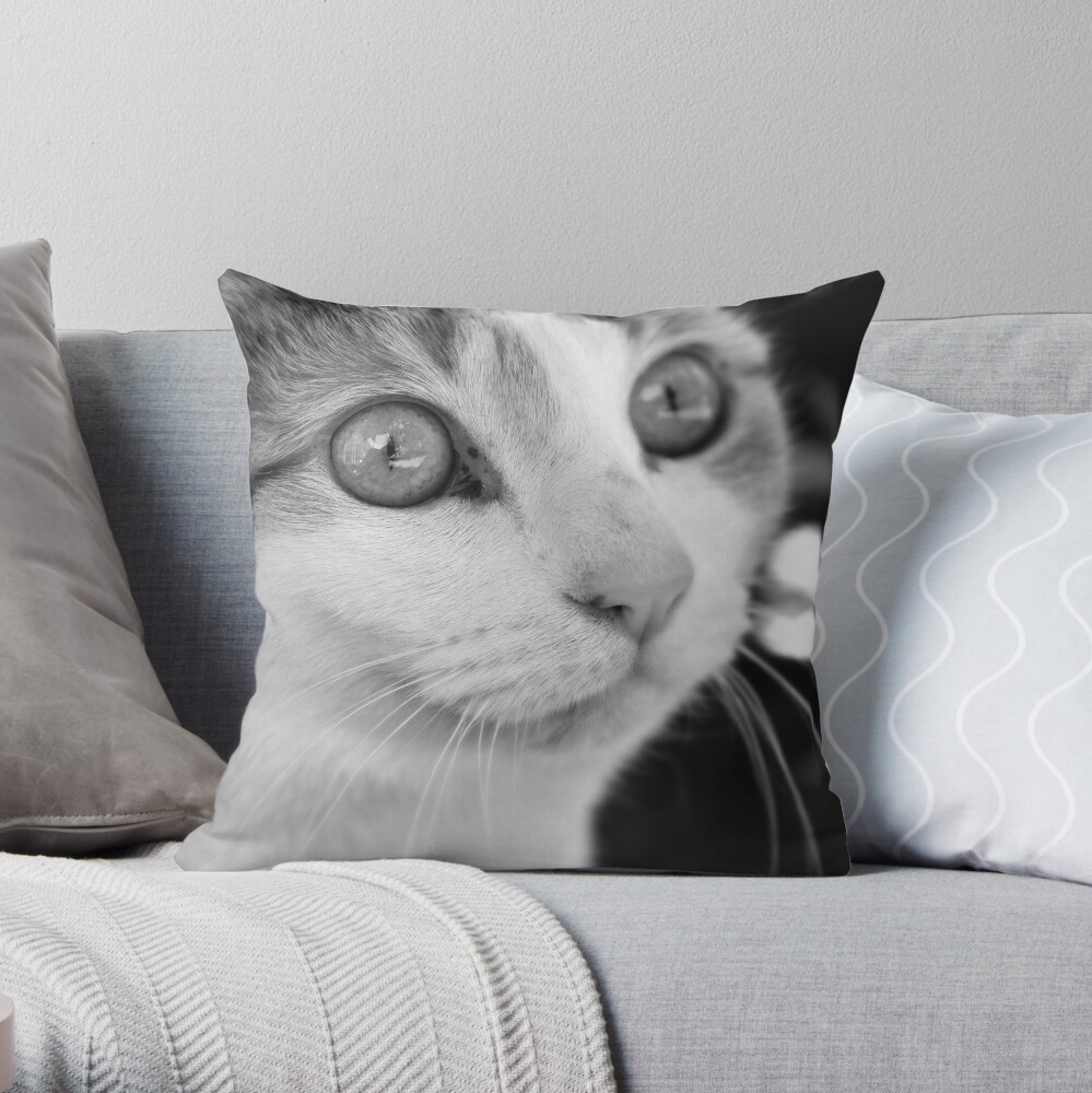 Focus Throw Pillow
