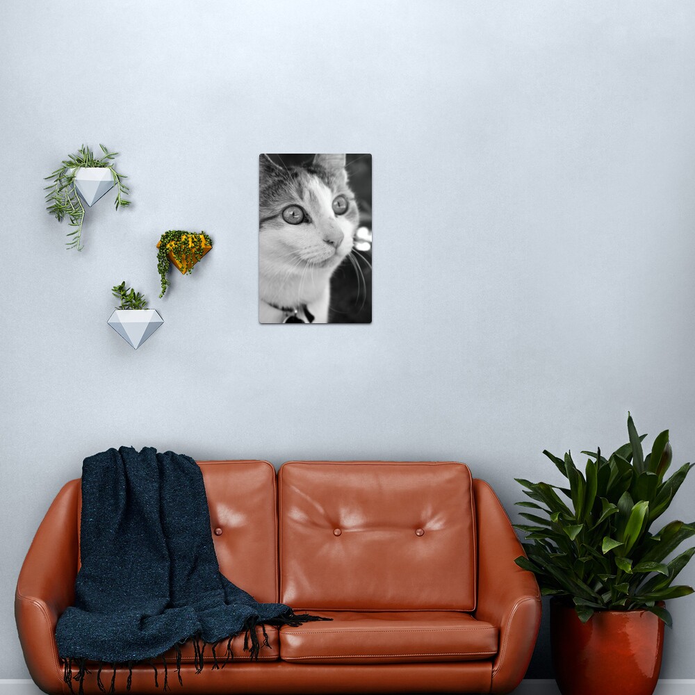 Focus Metal Print