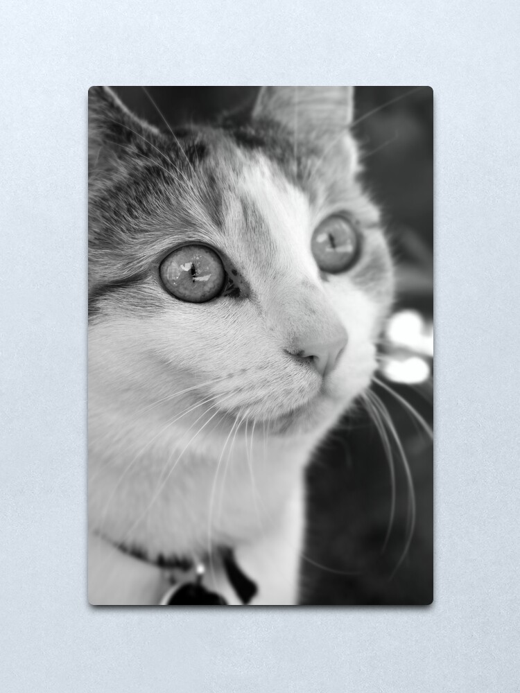 Alternate view of Focus Metal Print