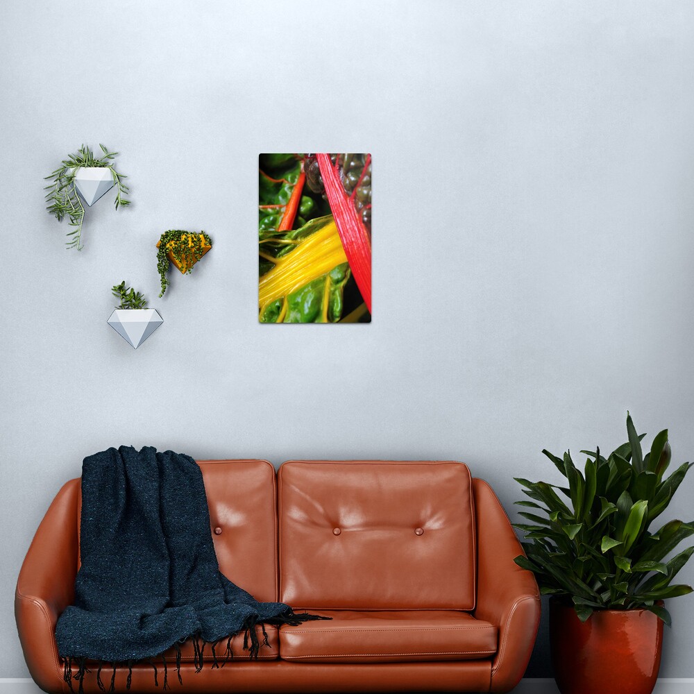 Colourful Greens Metal Print