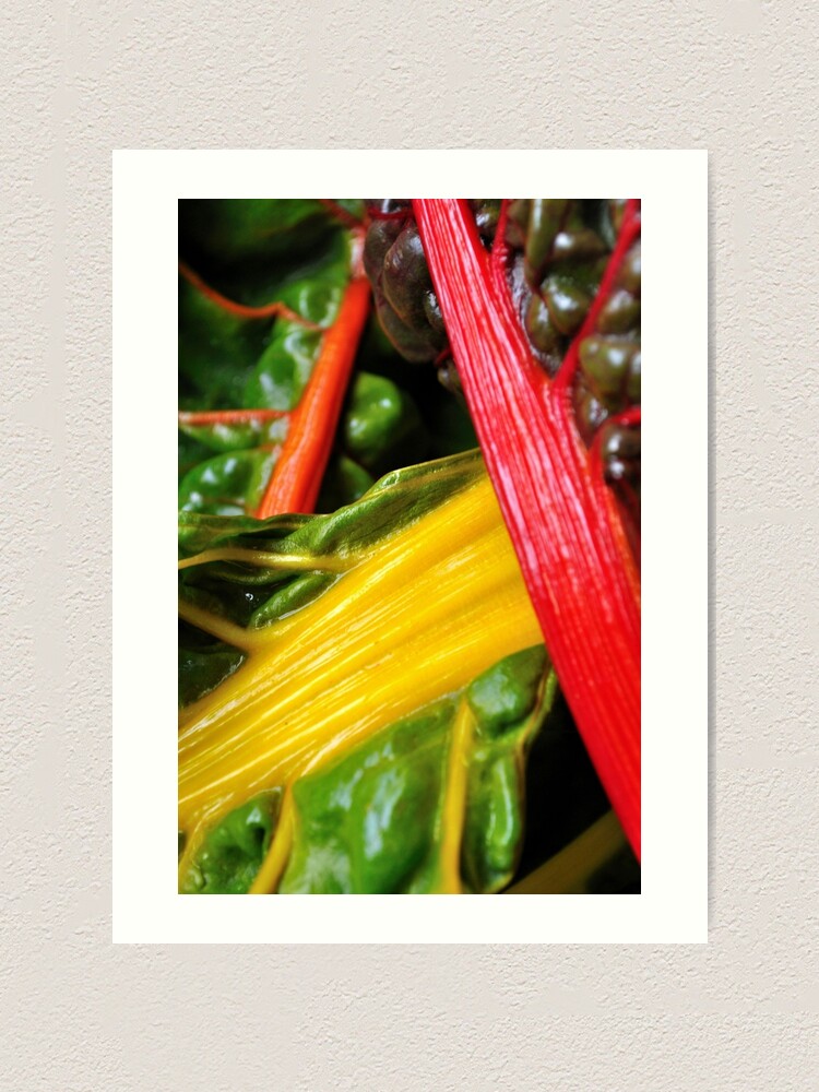 Thumbnail 2 of 3, Art Print, Colourful Greens designed and sold by Tiffany Dryburgh.