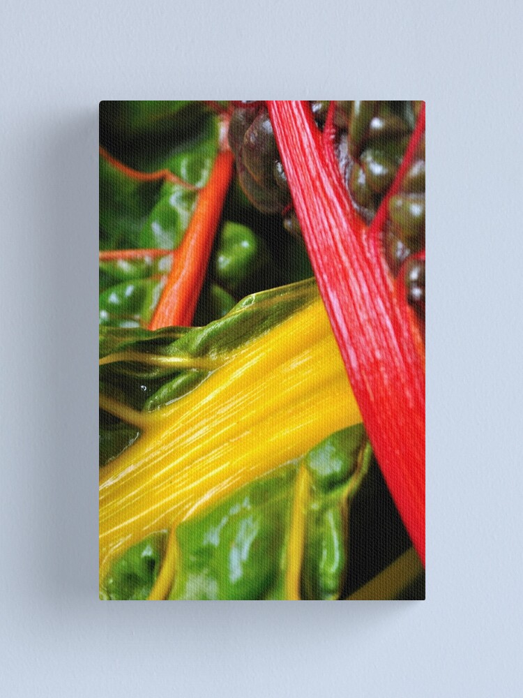 Alternate view of Colourful Greens Canvas Print