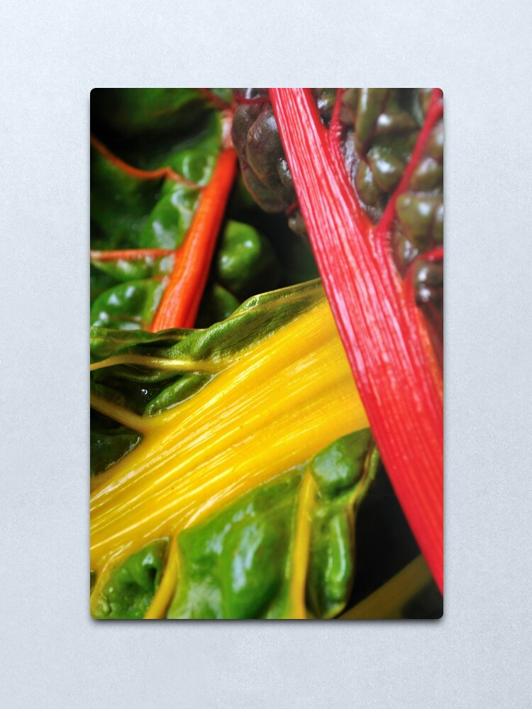 Alternate view of Colourful Greens Metal Print