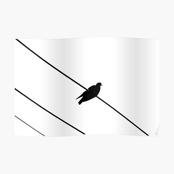 Bird on a Wire Poster