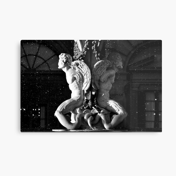Metal Print