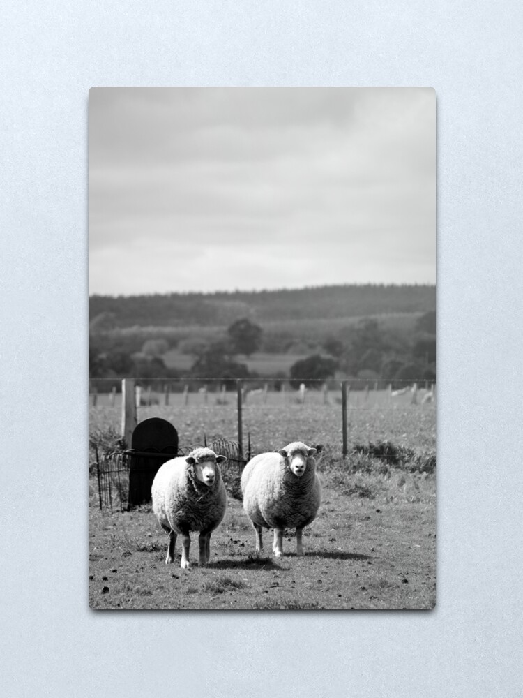 Alternate view of The Guardians Metal Print