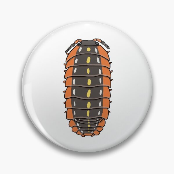 Item preview, Armadillidium klugii designed and sold by Artbychb.