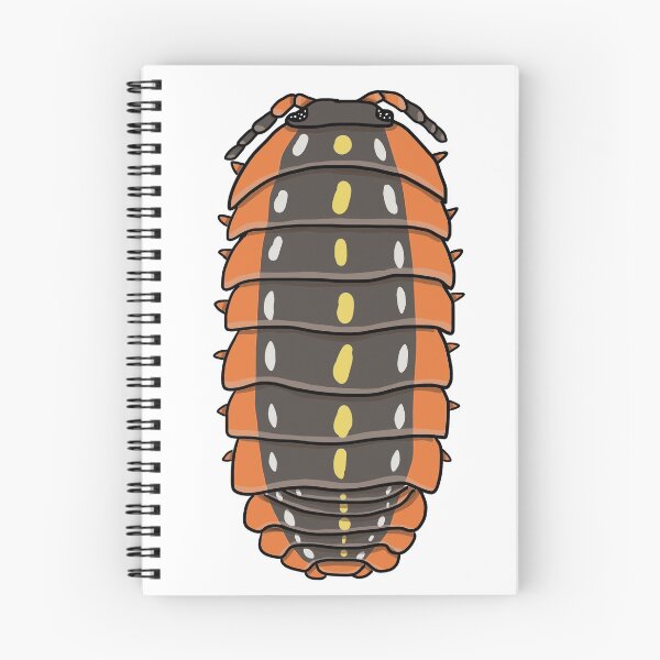 Item preview, Armadillidium klugii designed and sold by Artbychb.