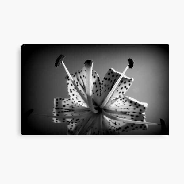 Item preview, Lily in Black and White designed and sold by katpix.