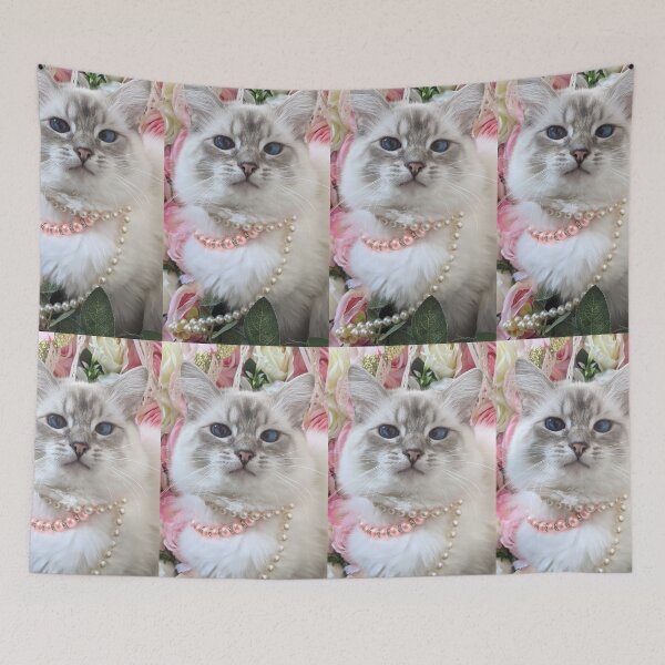 Item preview, Copy of Saoirseragdoll, a lynx ragdoll cat like no other designed and sold by Fluffycat2020.