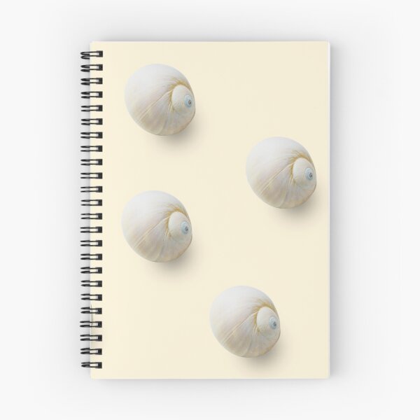 Item preview, Empty sink of sea mollusc pattern designed and sold by archiba.