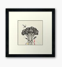 Mr. Broccoli Framed Print