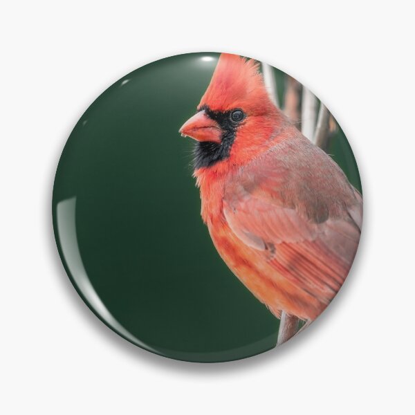 Item preview, Red bird designed and sold by Akashbhor2001.