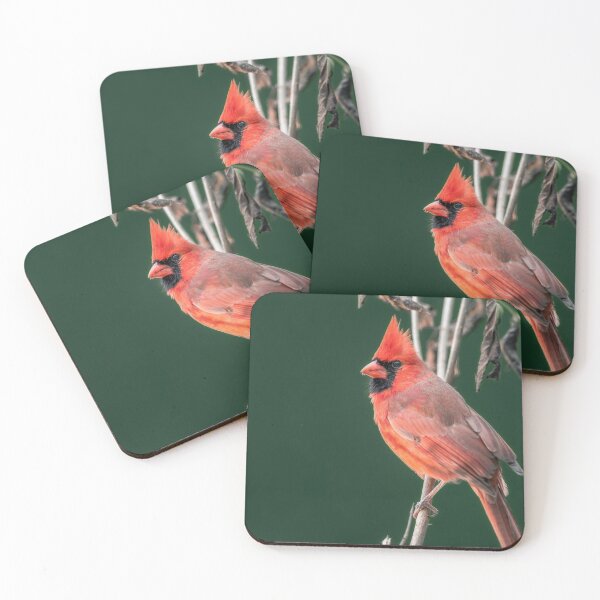Item preview, Red bird designed and sold by Akashbhor2001.