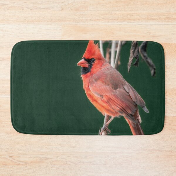 Item preview, Red bird designed and sold by Akashbhor2001.