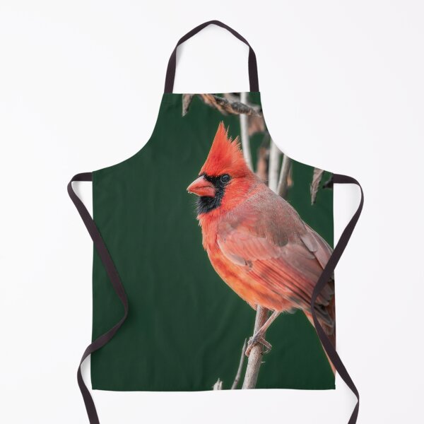 Item preview, Red bird designed and sold by Akashbhor2001.