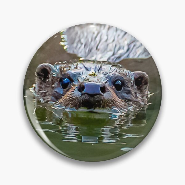 Item preview, Wild Eurasian Otter designed and sold by Dalyndigital Photography.