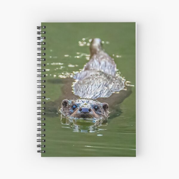 Item preview, Wild Eurasian Otter designed and sold by Dalyndigital Photography.