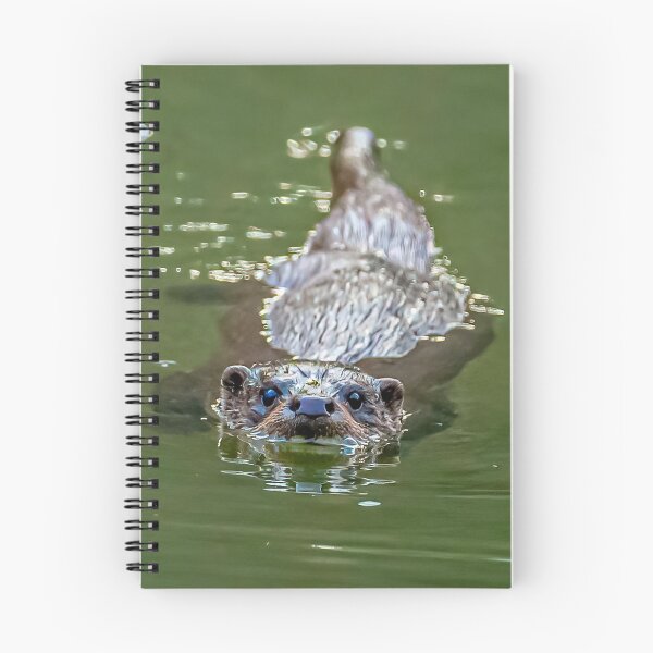 Item preview, Wild Eurasian Otter designed and sold by Dalyndigital Photography.