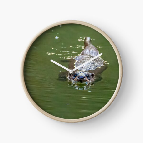 Item preview, Wild Eurasian Otter designed and sold by Dalyndigital Photography.