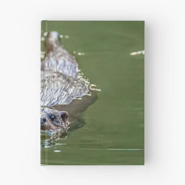 Item preview, Wild Eurasian Otter designed and sold by Dalyndigital Photography.