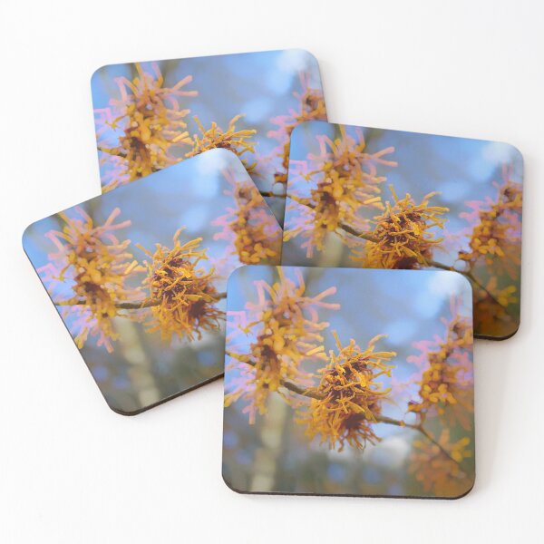 Item preview, Witch Hazel Flowers  designed and sold by Alisonchambers2.