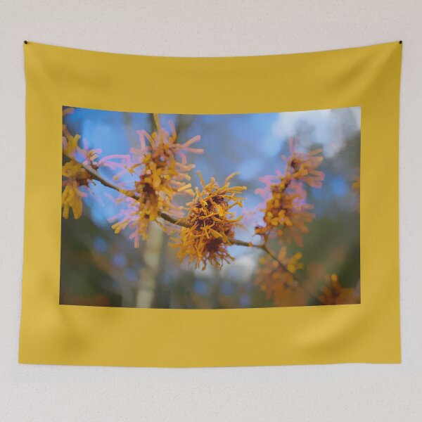 Item preview, Witch Hazel Flowers  designed and sold by Alisonchambers2.