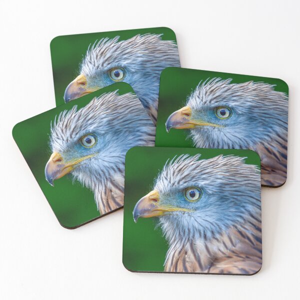 Item preview, Red Kite designed and sold by Dalyndigital Photography.