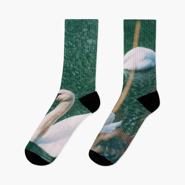 Item preview, Couple Swan Swimming In The River designed and sold by JTS STORE.