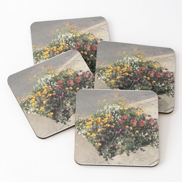 Item preview, Flowers in sidewalk designed and sold by tbts.