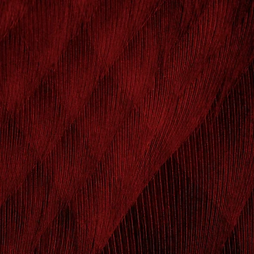 Artwork thumbnail, Red Feather Pattern Texture Background by JTS STORE