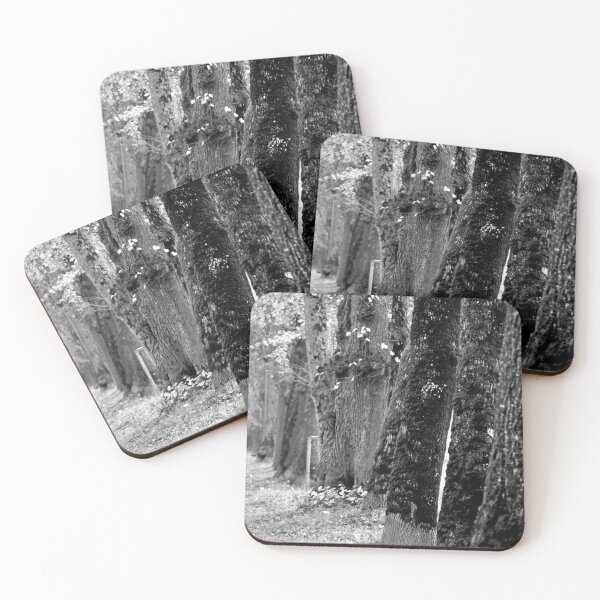 Item preview, Trees on the Avenue designed and sold by Tiffany Dryburgh.