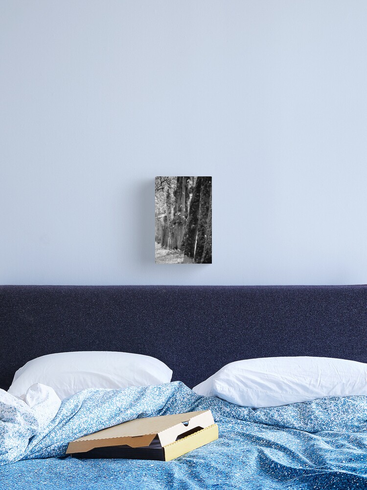 Thumbnail 2 of 3, Canvas Print, Trees on the Avenue designed and sold by Tiffany.