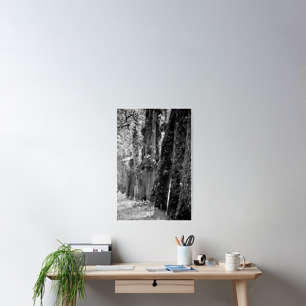 Item preview, Poster designed and sold by Tiffany.