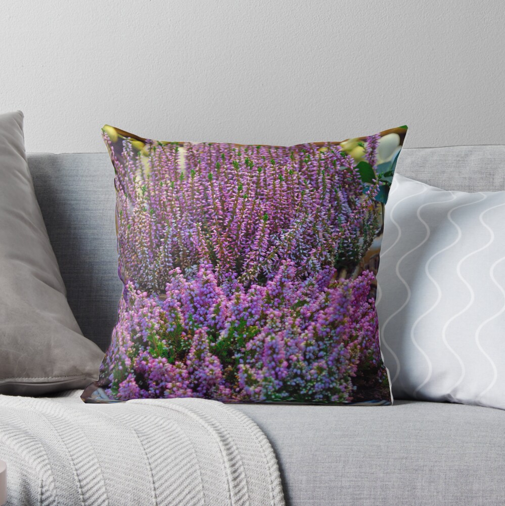 Winter Colour Throw Pillow
