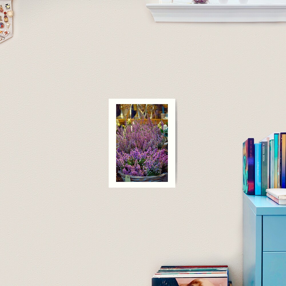 Winter Colour Art Print