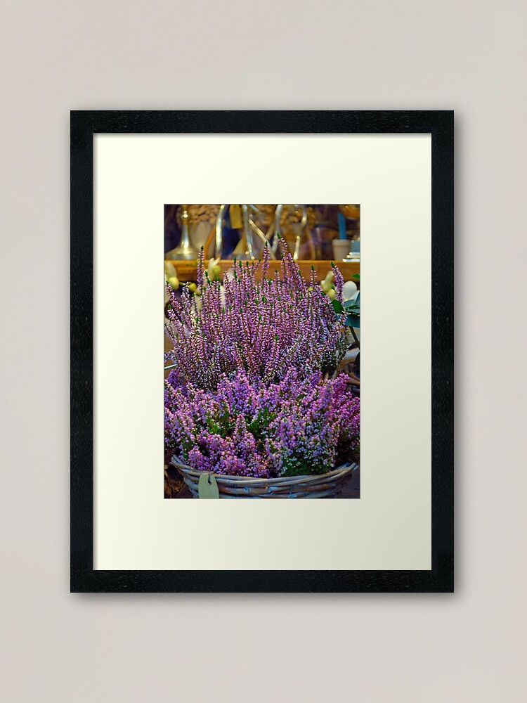 Alternate view of Winter Colour Framed Art Print