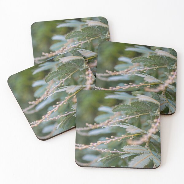 Item preview, Young Wattle designed and sold by Tiffany Dryburgh.