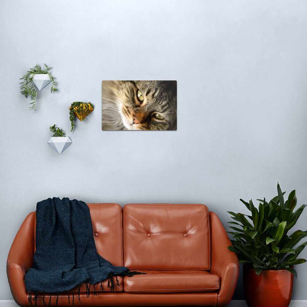 Come Hither Metal Print
