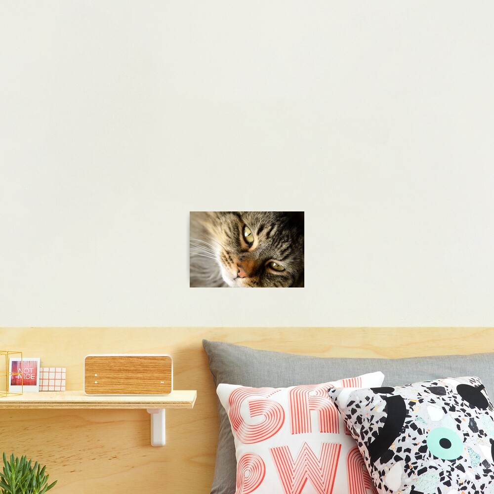 Come Hither Photographic Print