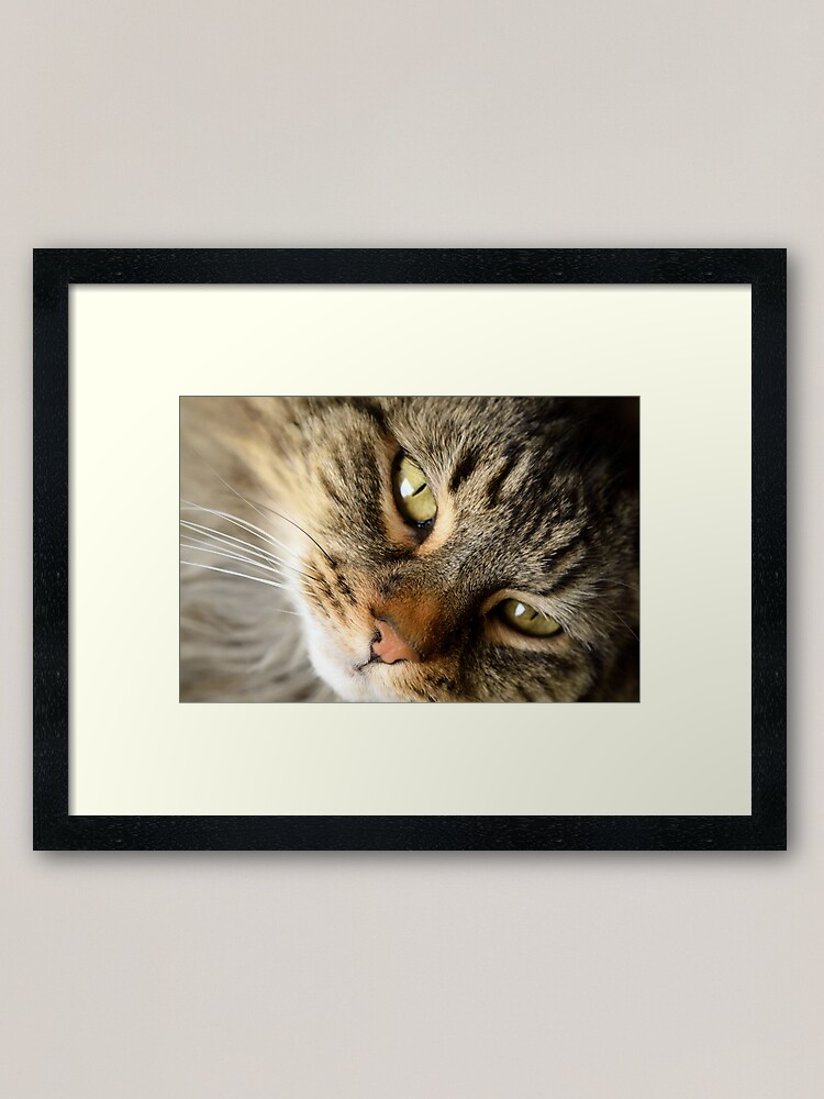 Alternate view of Come Hither Framed Art Print