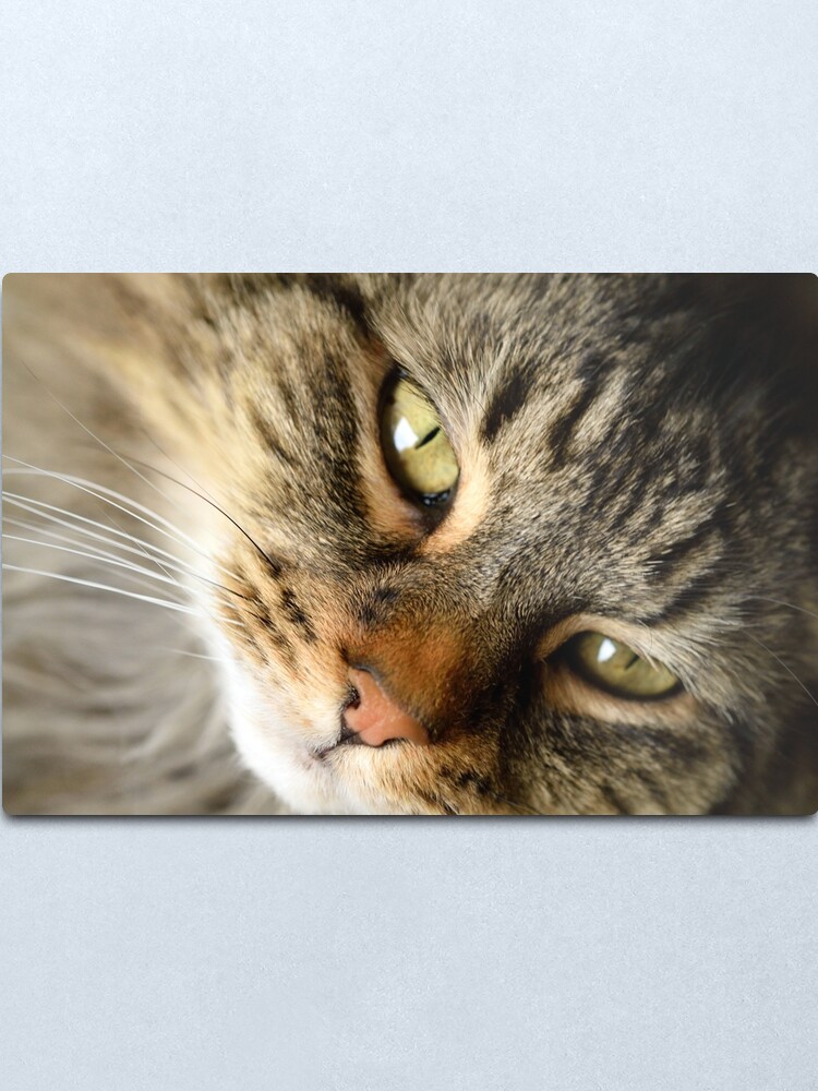 Alternate view of Come Hither Metal Print
