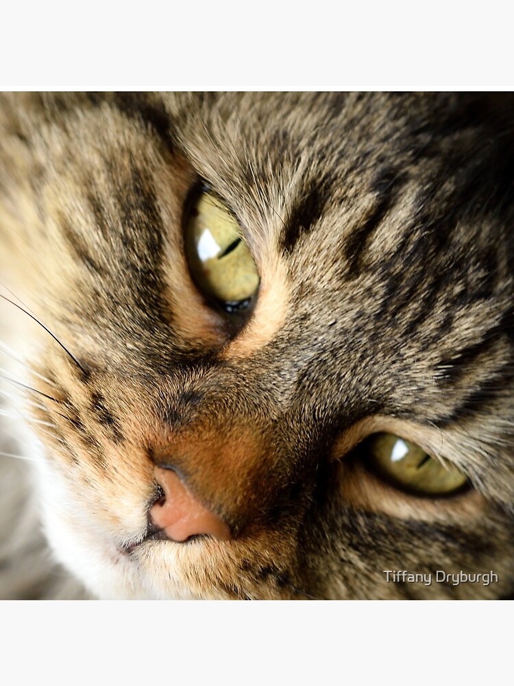 Come Hither by Tiffany