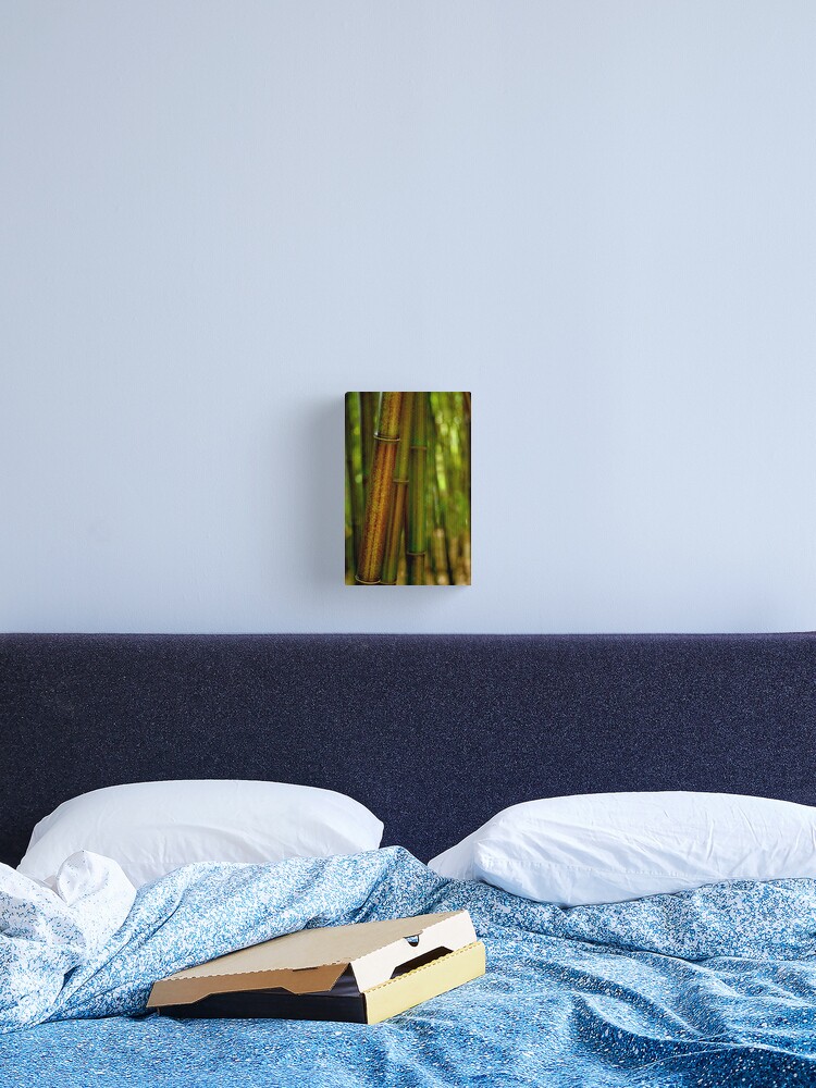 Thumbnail 1 of 3, Canvas Print, Green Bamboo designed and sold by Tiffany Dryburgh.