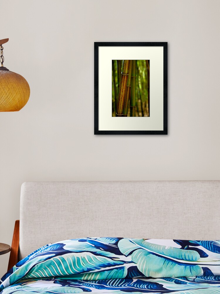 Thumbnail 1 of 7, Framed Art Print, Green Bamboo designed and sold by Tiffany Dryburgh.