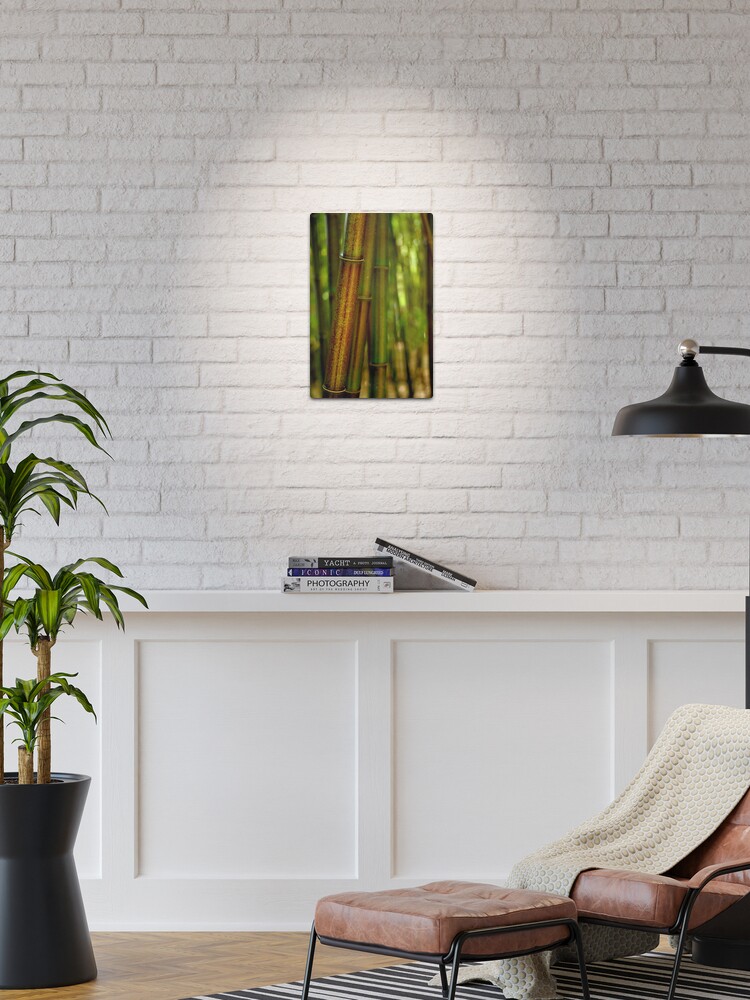 Thumbnail 1 of 4, Metal Print, Green Bamboo designed and sold by Tiffany Dryburgh.