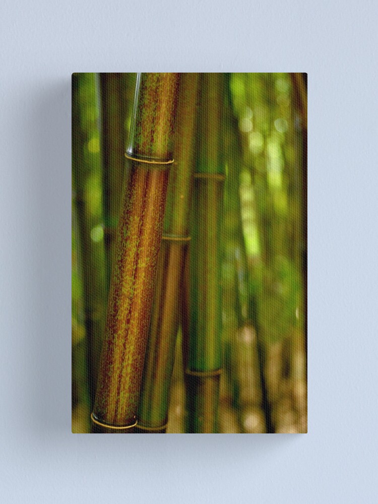 Thumbnail 2 of 3, Canvas Print, Green Bamboo designed and sold by Tiffany Dryburgh.