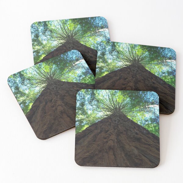 Item preview, TREE HUGGING - REDWOOD FOREST - ROTORUA - NEW ZEALAND designed and sold by Camelia Tawhiti.