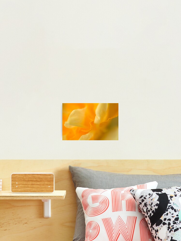 Thumbnail 1 of 3, Photographic Print, The Colour of Happiness designed and sold by Tiffany Dryburgh.